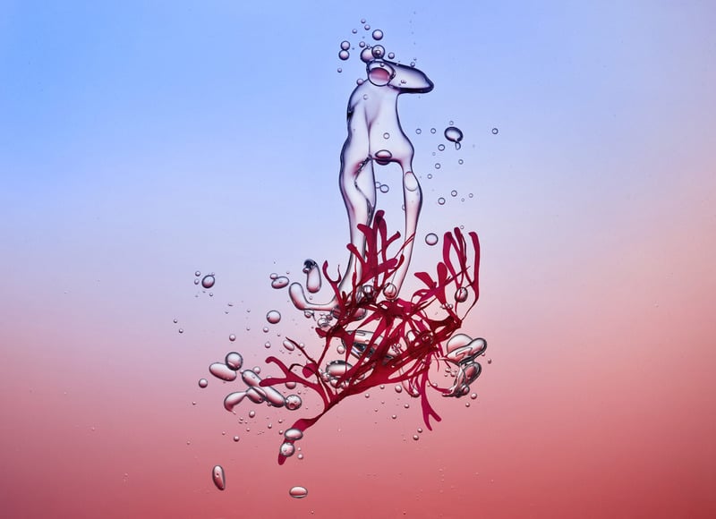 Image hover effect image