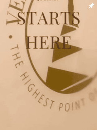 Close-up of the Vertex Aesthetics logo with the text "STARTS HERE" overlaid.